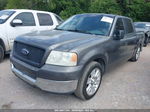 2005 Ford F-150 Xlt Gray vin: 1FTRW12W15KB54242