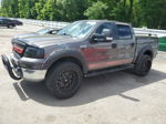 2005 Ford F150 Supercrew Gray vin: 1FTRW12W35KC17034