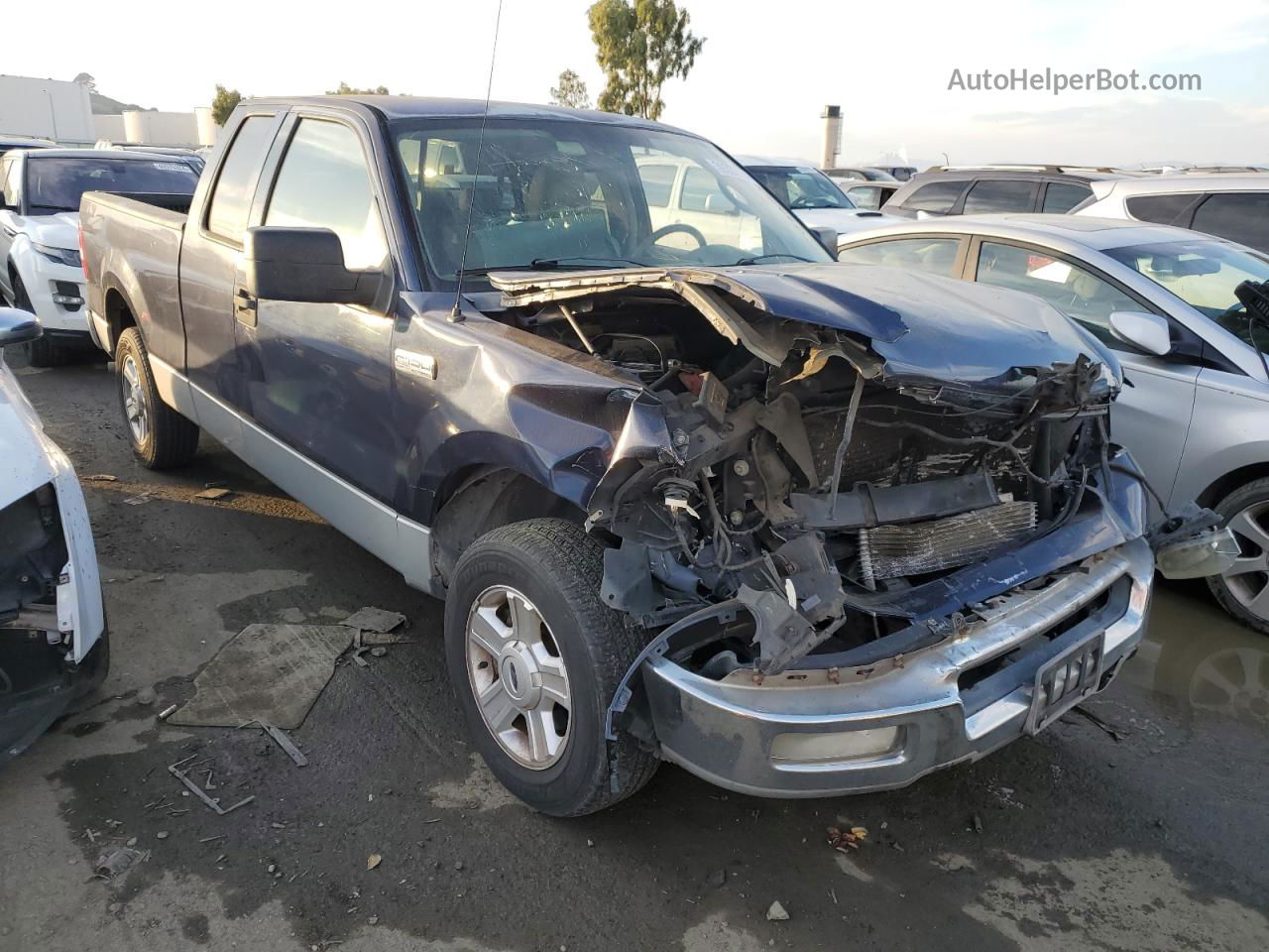 2004 Ford F150  Blue vin: 1FTRX12W14NA90536