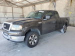 2005 Ford F150  Gray vin: 1FTRX12W15FA92380