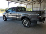 2005 Ford F150  Gray vin: 1FTRX12W15FA92380