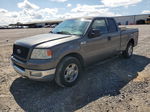 2004 Ford F150  Gray vin: 1FTRX12W24NB94680