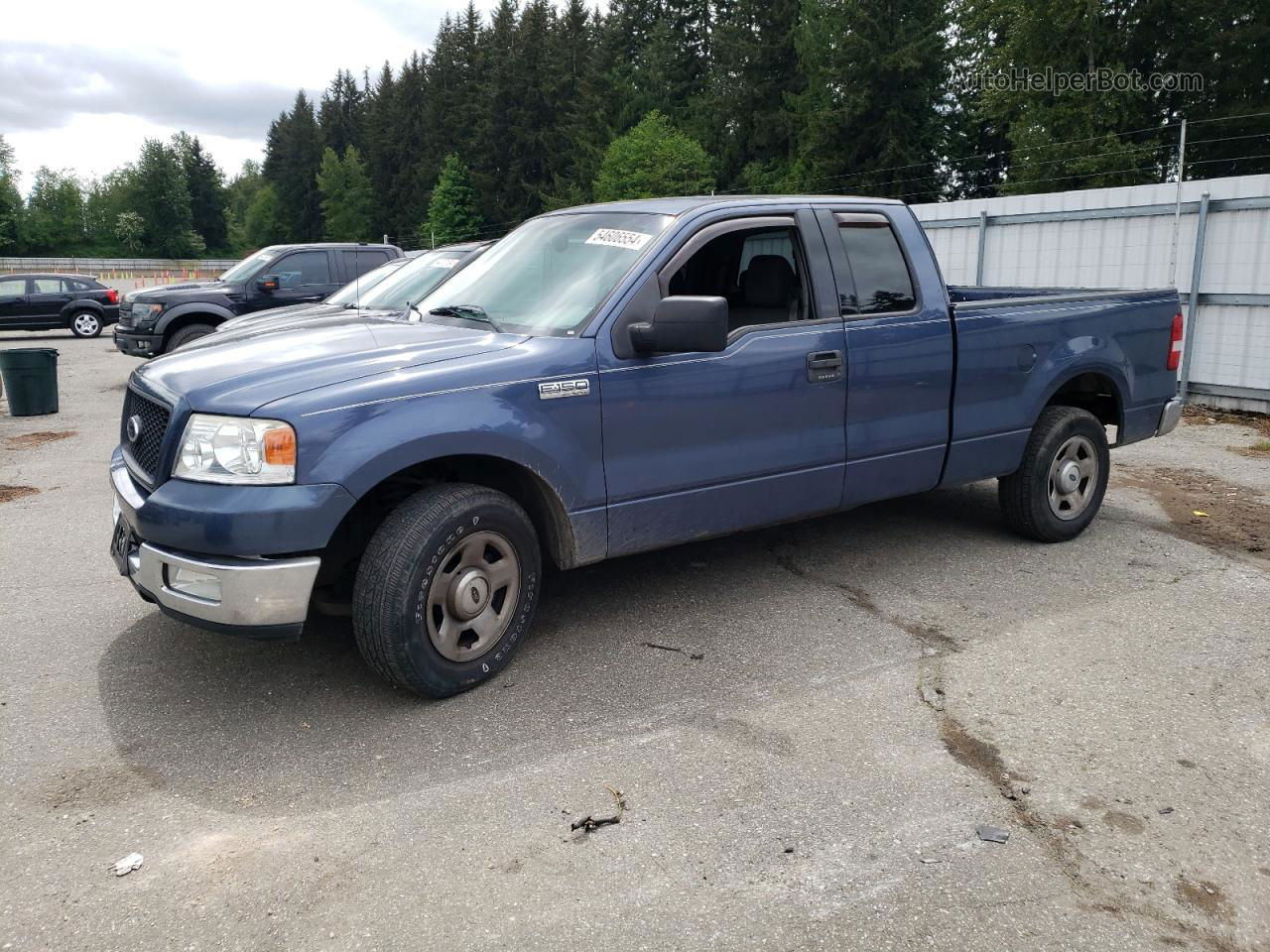 2004 Ford F150  Синий vin: 1FTRX12W34NA99125