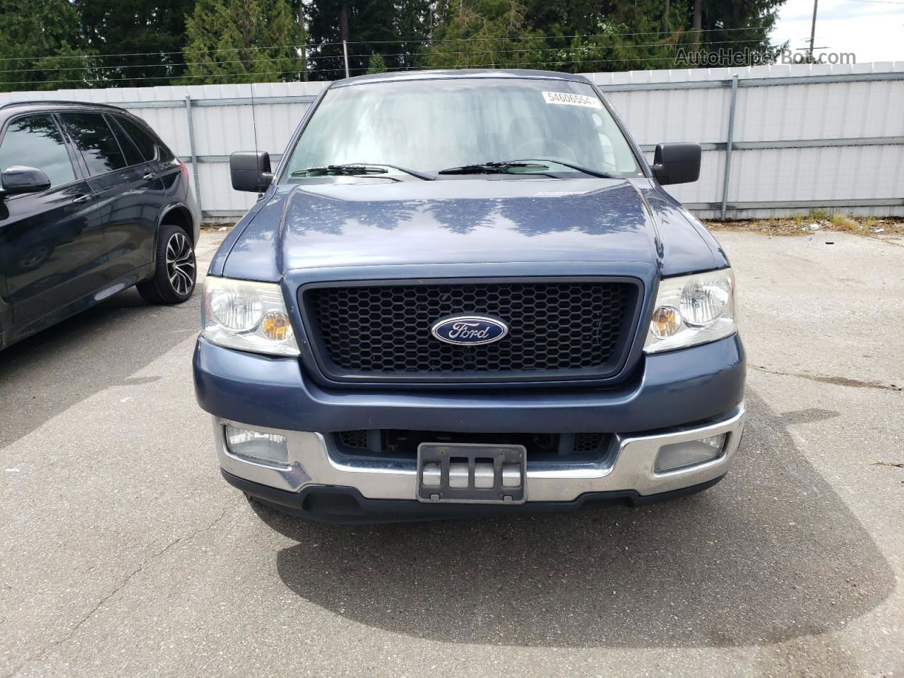 2004 Ford F150  Синий vin: 1FTRX12W34NA99125