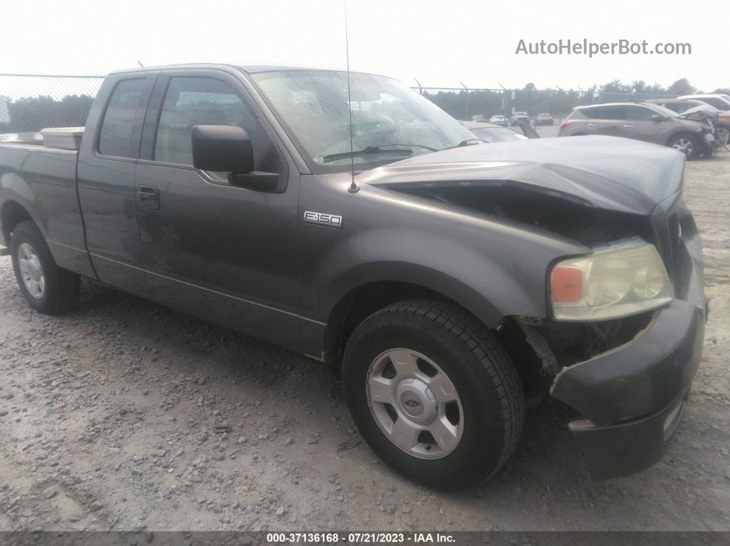 2004 Ford F-150 Stx/xlt/xl Gray vin: 1FTRX12W34NB85552