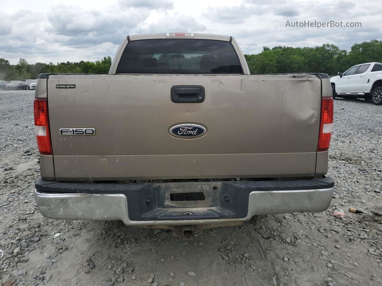 2004 Ford F150  Gold vin: 1FTRX12W44NA09495