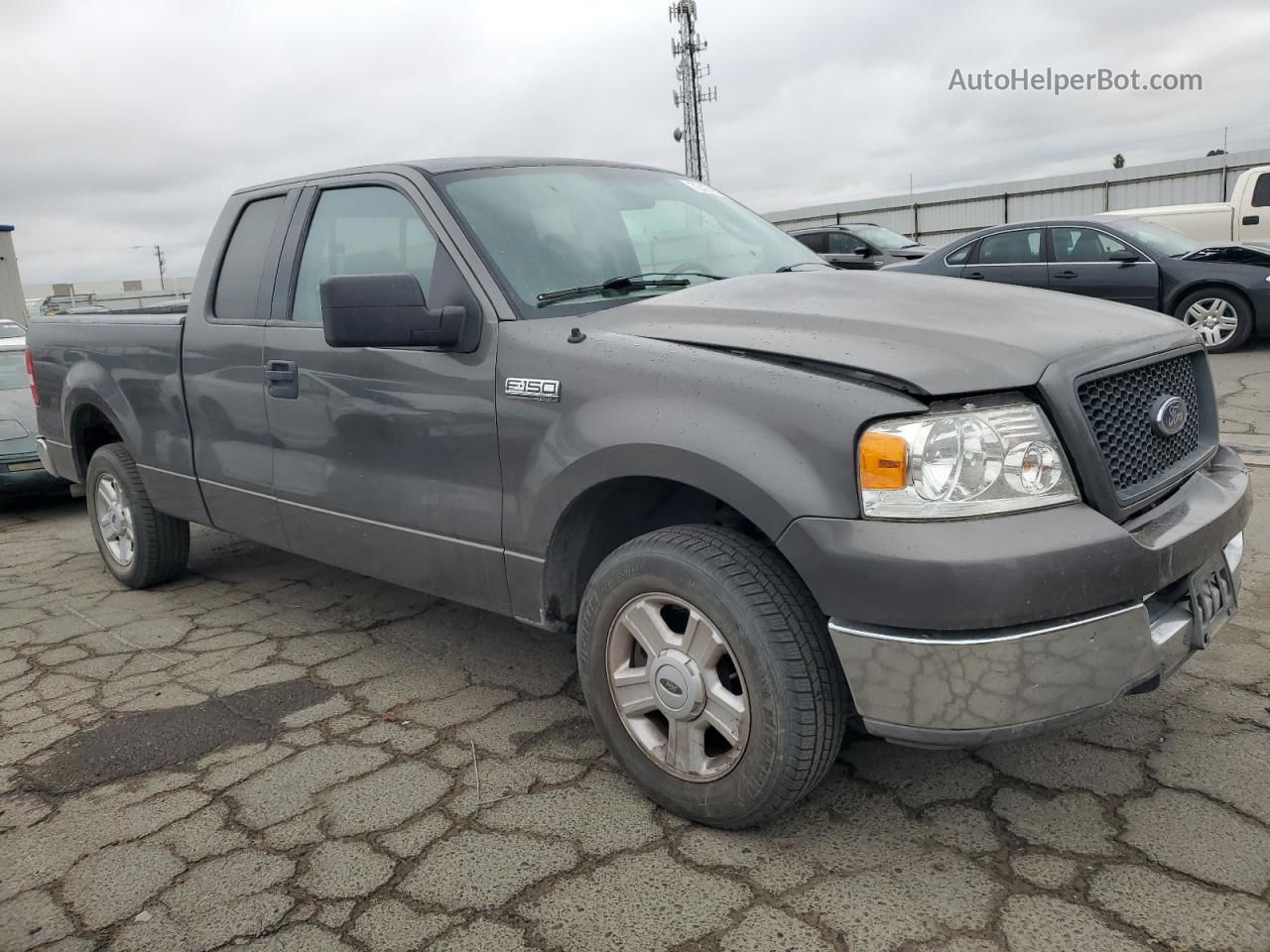 2004 Ford F150  Gray vin: 1FTRX12W64NB13714