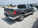 2004 Ford F150  Gray vin: 1FTRX12W74FA06150