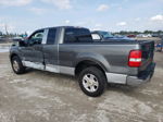 2004 Ford F150  Gray vin: 1FTRX12W94NA04129