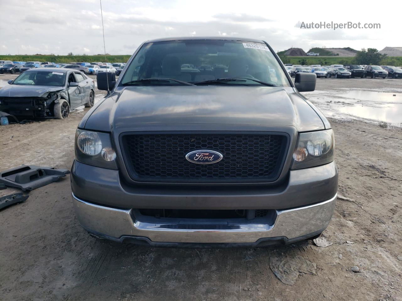 2004 Ford F150  Gray vin: 1FTRX12W94NA04129