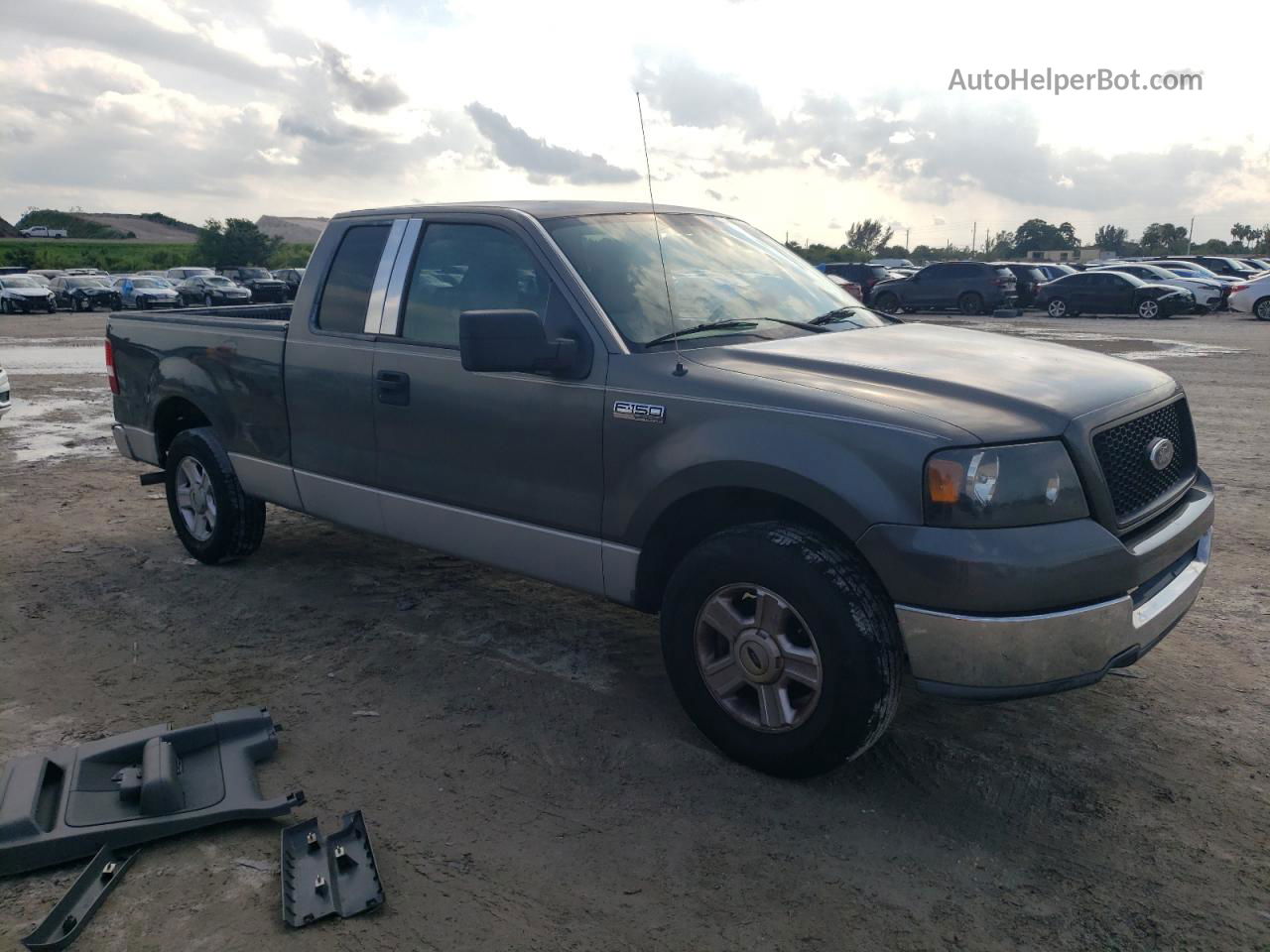 2004 Ford F150  Gray vin: 1FTRX12W94NA04129