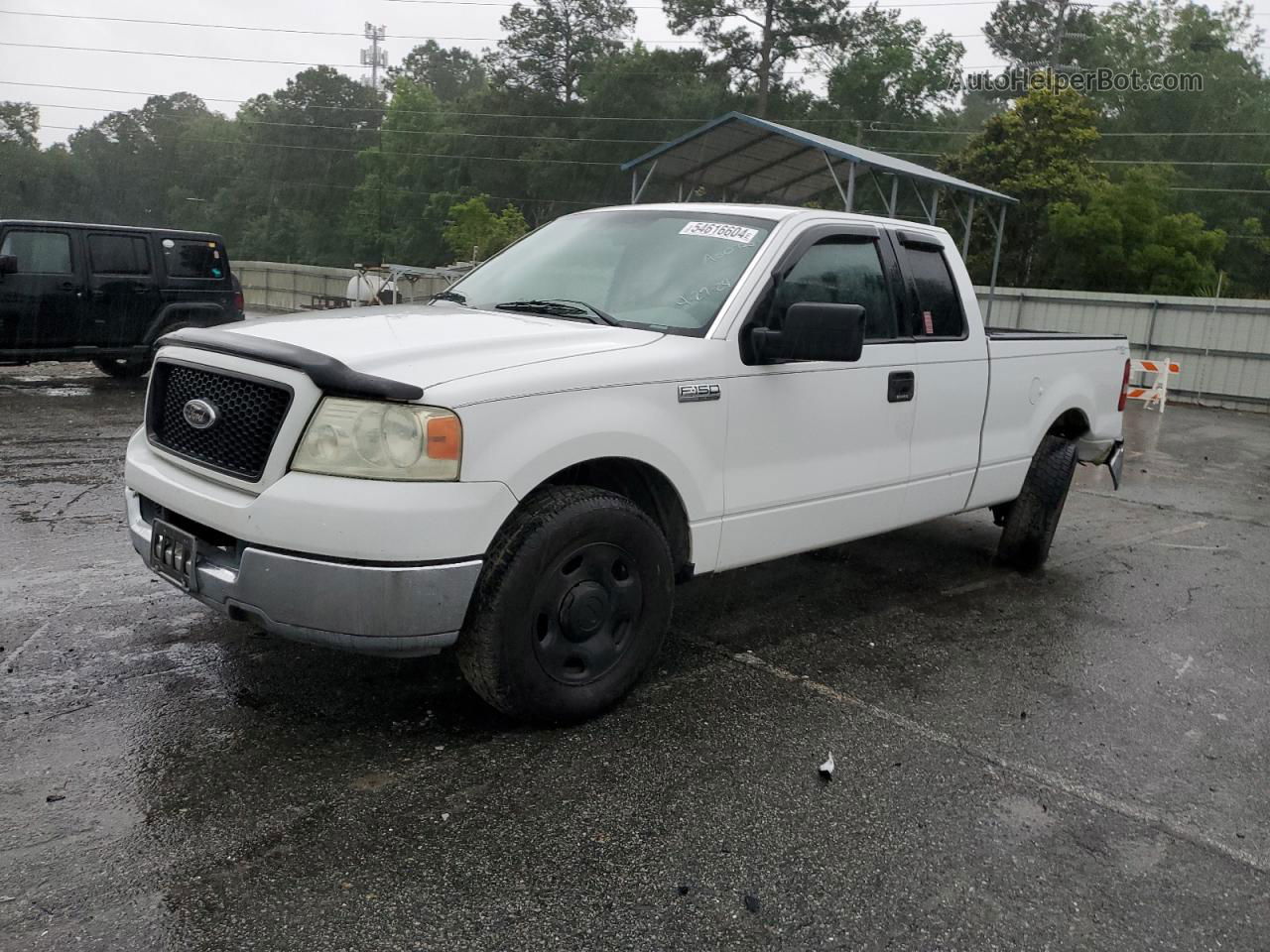 2004 Ford F150  White vin: 1FTRX12W94NA60958