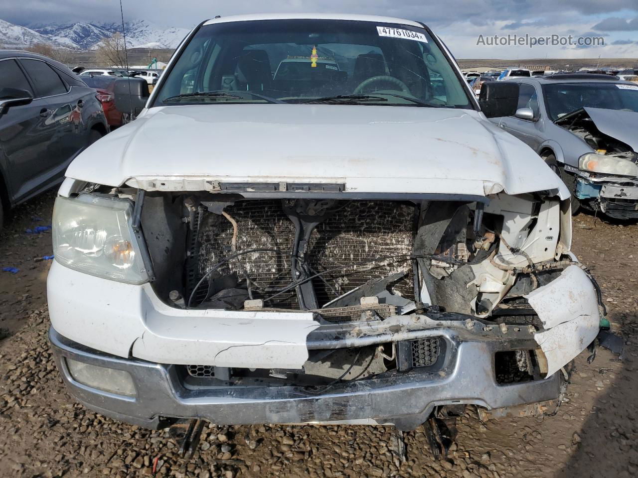 2004 Ford F150  White vin: 1FTRX12W94NB04098