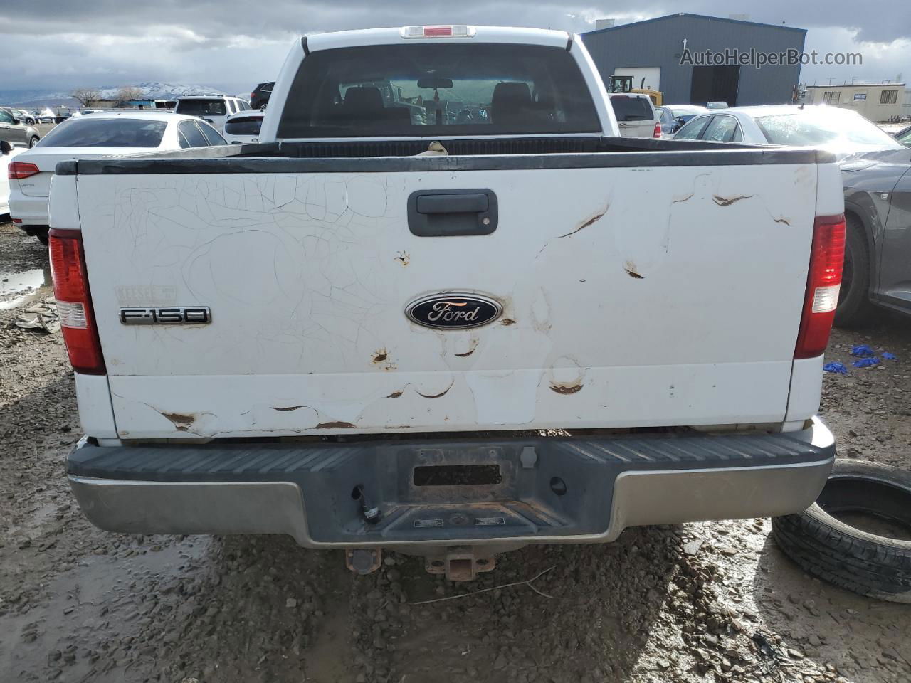 2004 Ford F150  White vin: 1FTRX12W94NB04098