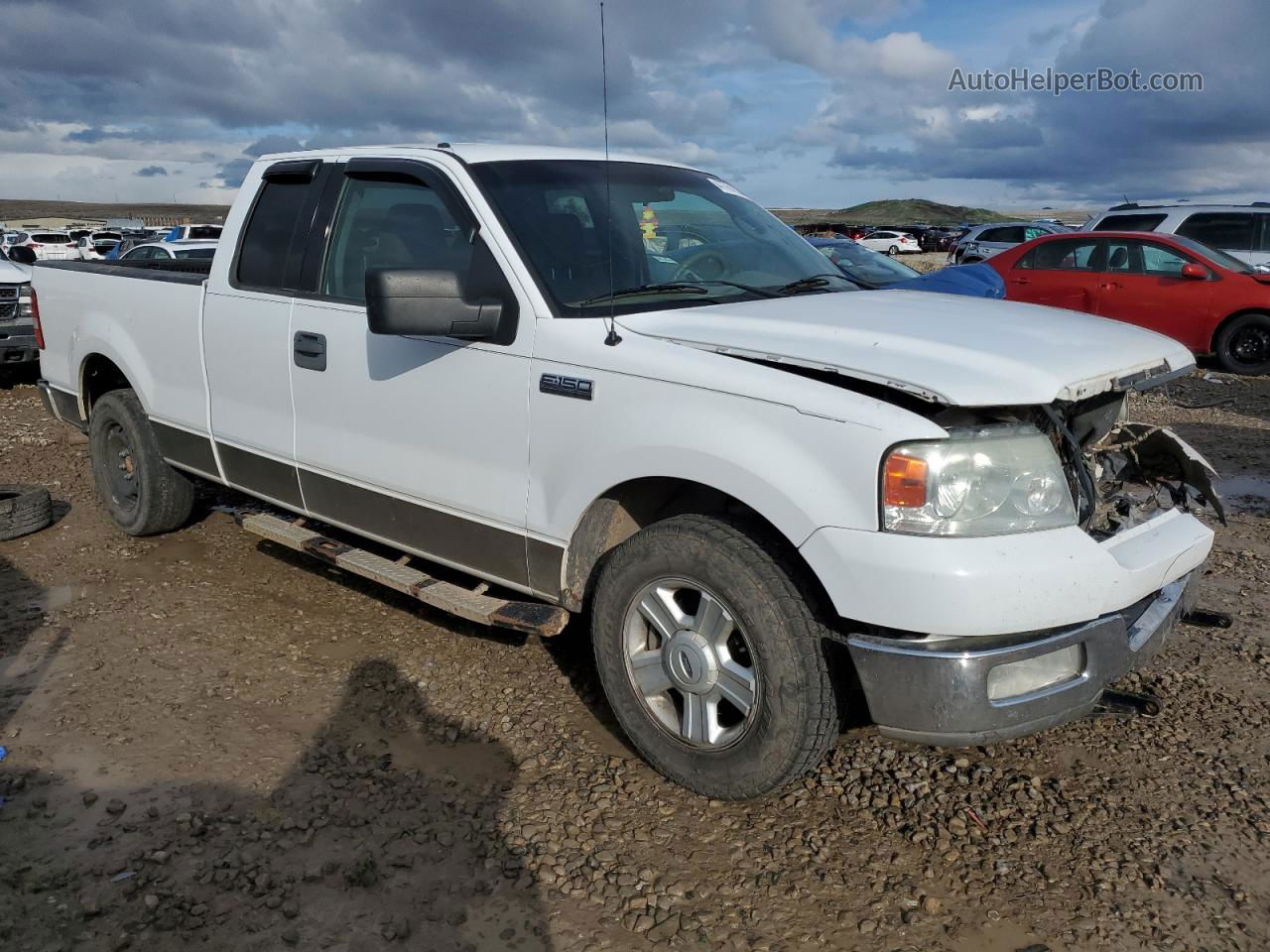 2004 Ford F150  Белый vin: 1FTRX12W94NB04098