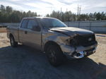 2005 Ford F150  Beige vin: 1FTRX12W95NB67655