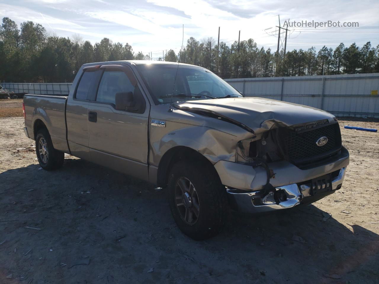 2005 Ford F150  Beige vin: 1FTRX12W95NB67655