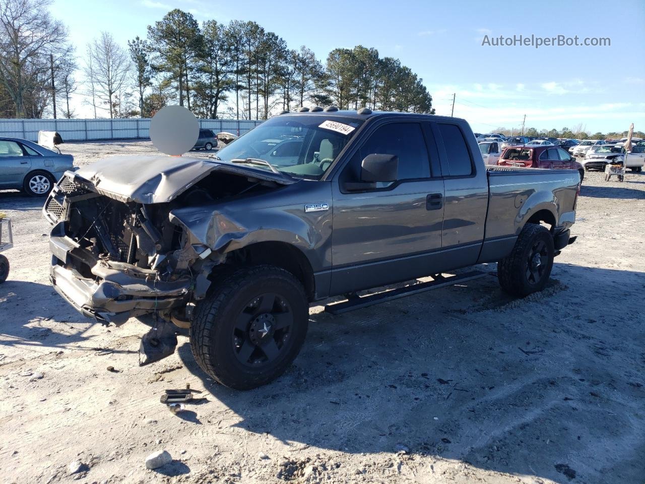 2004 Ford F150  Gray vin: 1FTRX12WX4KD95342