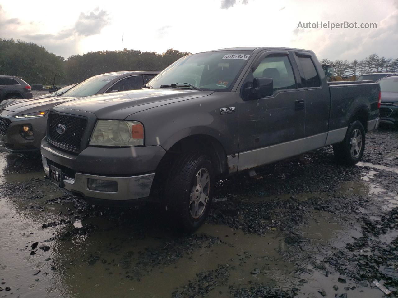 2004 Ford F150  Silver vin: 1FTRX14W14NC55370