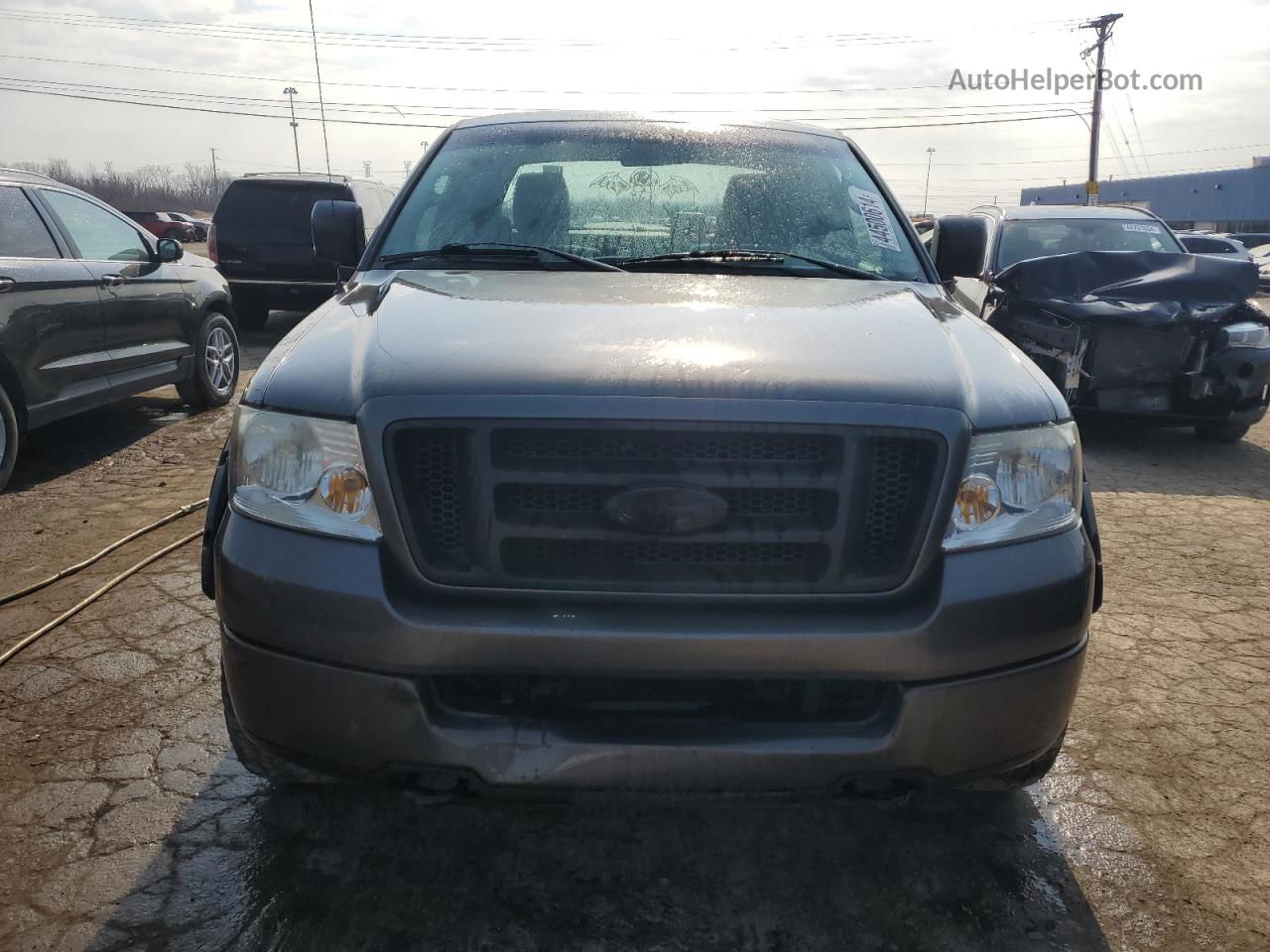 2005 Ford F150  Gray vin: 1FTRX14W15FA20835