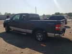 2005 Ford F150  Gray vin: 1FTRX14W15NA68941