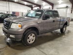 2004 Ford F150  Серый vin: 1FTRX14W24FA28313