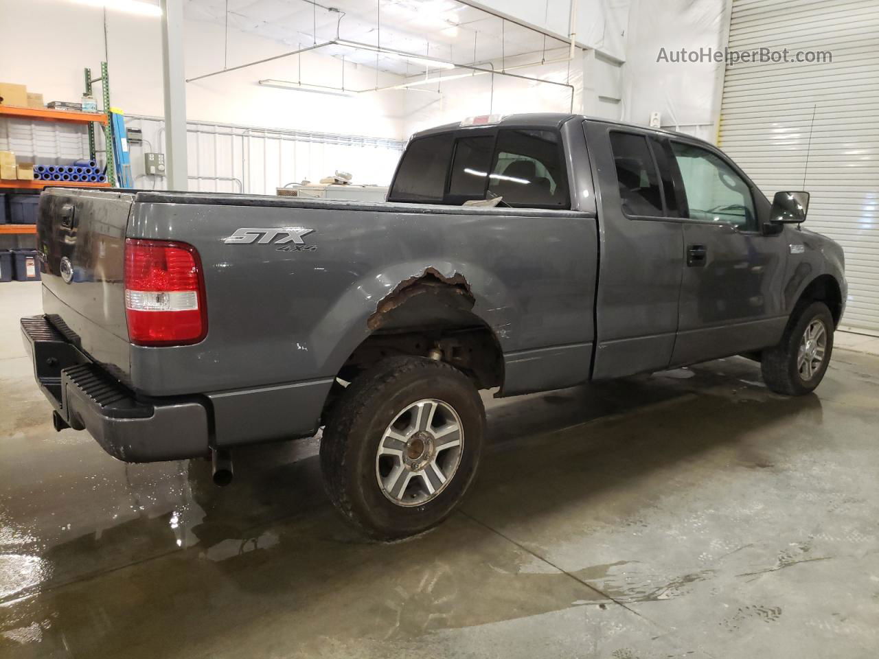 2004 Ford F150  Серый vin: 1FTRX14W24FA28313