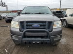 2005 Ford F150  Gray vin: 1FTRX14W25FB46511