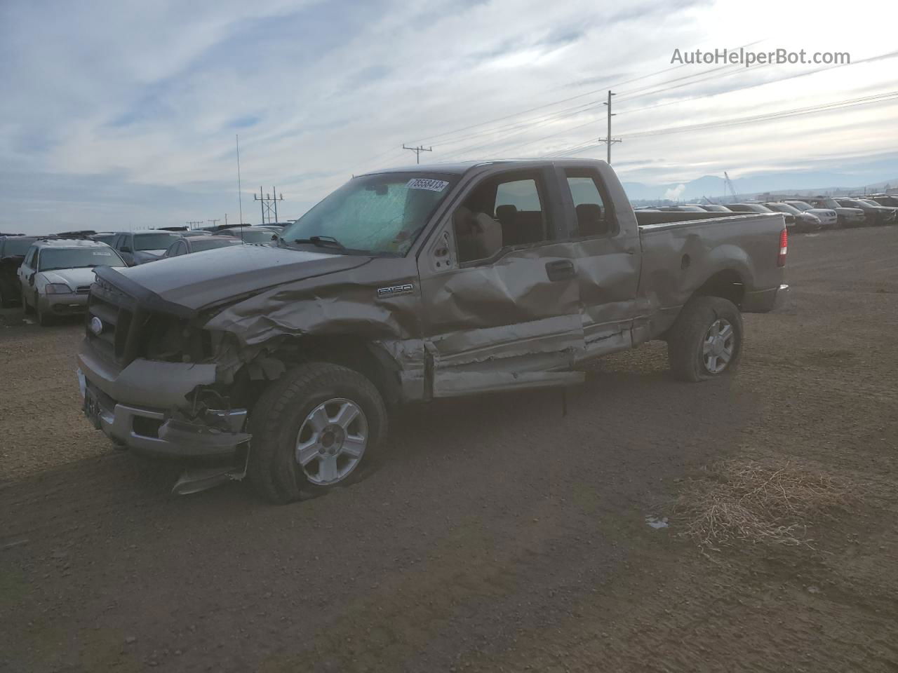 2004 Ford F150  Brown vin: 1FTRX14W54NB59354