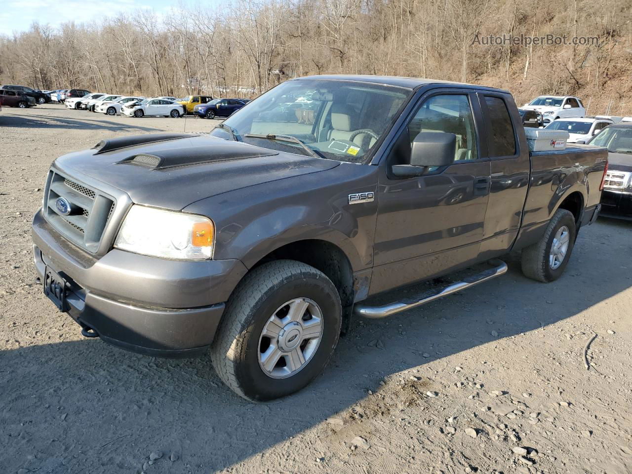 2005 Ford F150  Gray vin: 1FTRX14W55FA35516