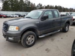 2005 Ford F150  Gray vin: 1FTRX14W65NB21536