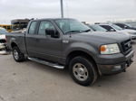 2005 Ford F150  Серый vin: 1FTRX14W65NB21536