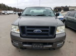 2005 Ford F150  Gray vin: 1FTRX14W65NB21536