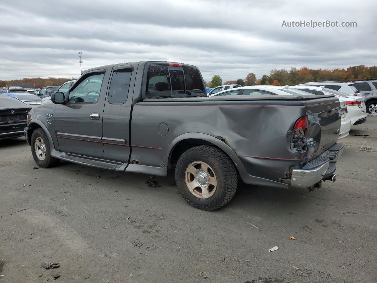 2003 Ford F150 Серый vin: 1FTRX17203NA55880