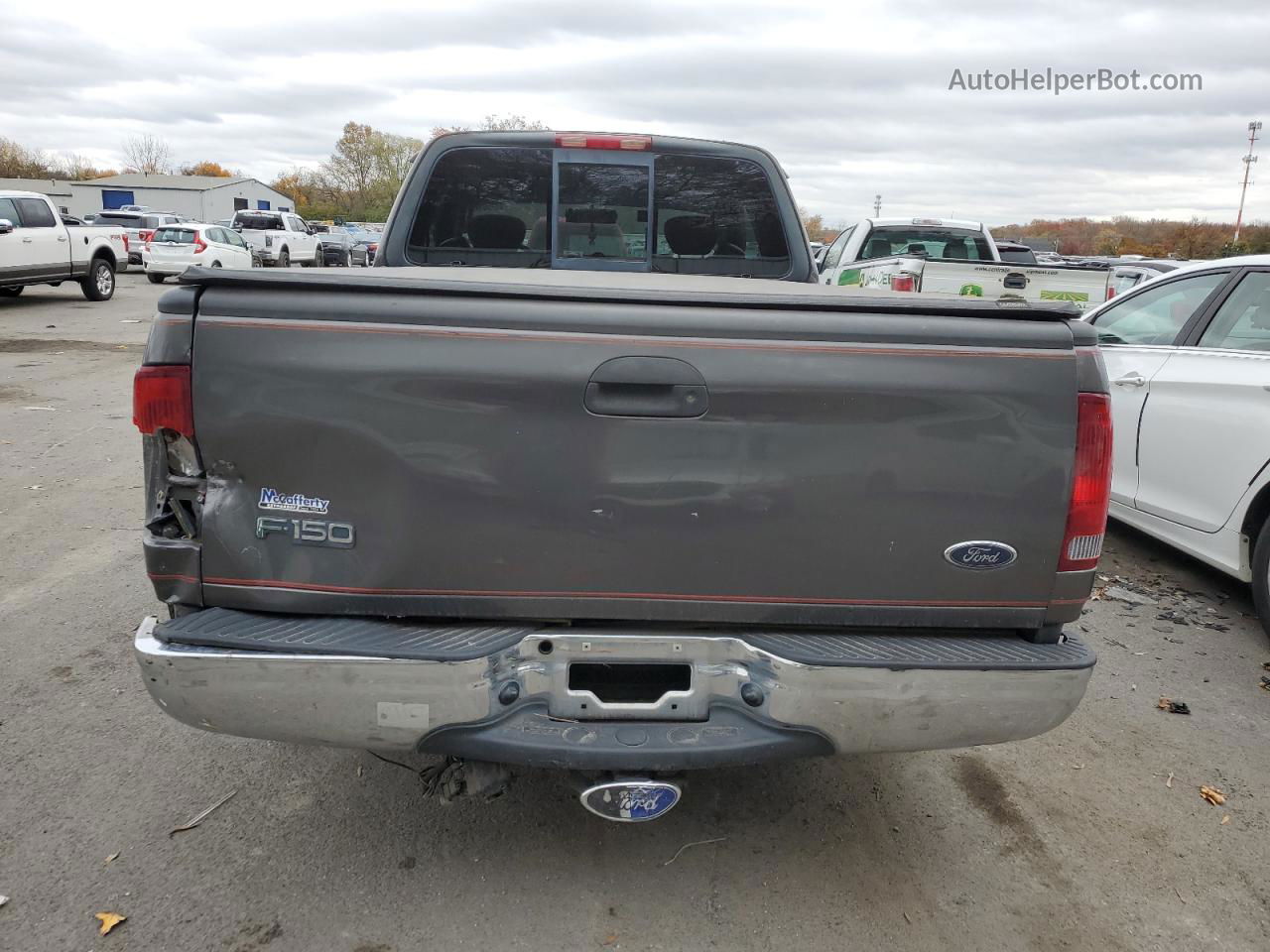 2003 Ford F150 Gray vin: 1FTRX17203NA55880