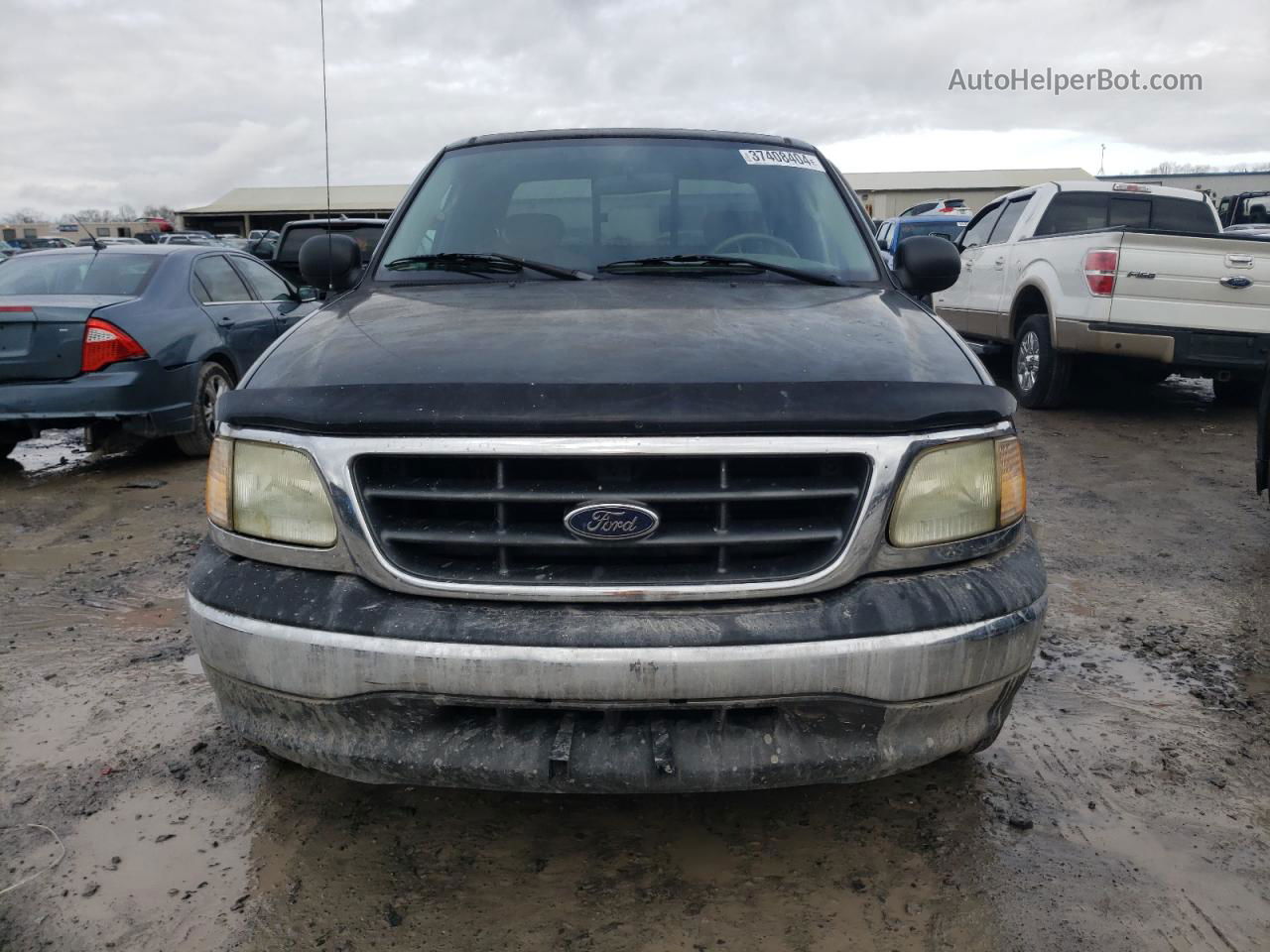 2003 Ford F150  Green vin: 1FTRX17293NB16725