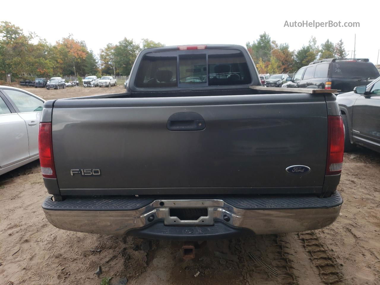 2003 Ford F150  Gray vin: 1FTRX17LX3NA48864