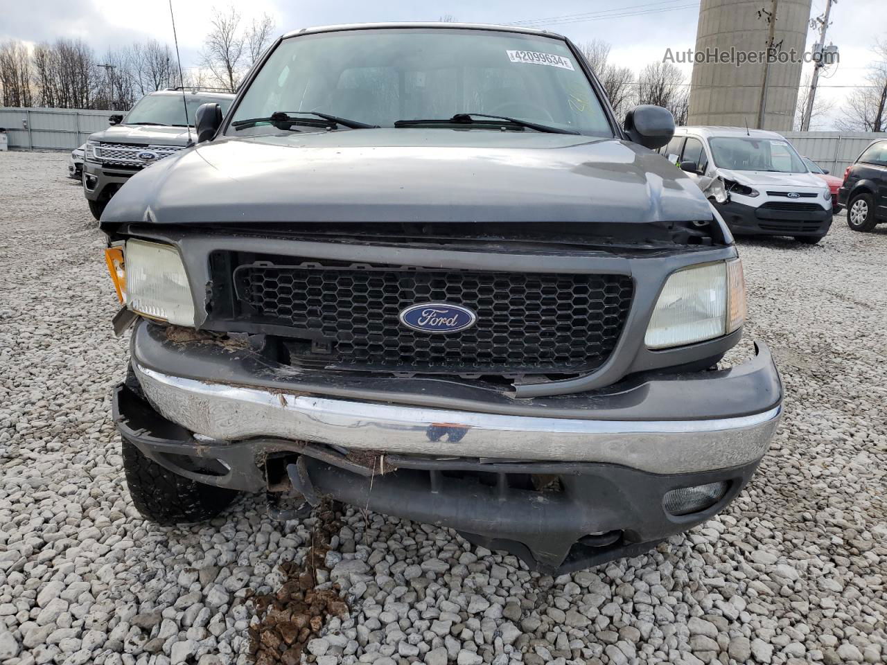 2003 Ford F150  Gray vin: 1FTRX18L63NB67042