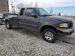 2003 Ford F150  Gray vin: 1FTRX18L63NB67042