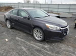 2015 Chevrolet Malibu 1lt Фиолетовый vin: 1G11C5SL1FF250586