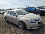 2015 Chevrolet Malibu 1lt Beige vin: 1G11C5SL5FF188402