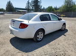 2007 Chevrolet Cobalt Ls White vin: 1G1AK55F677394851