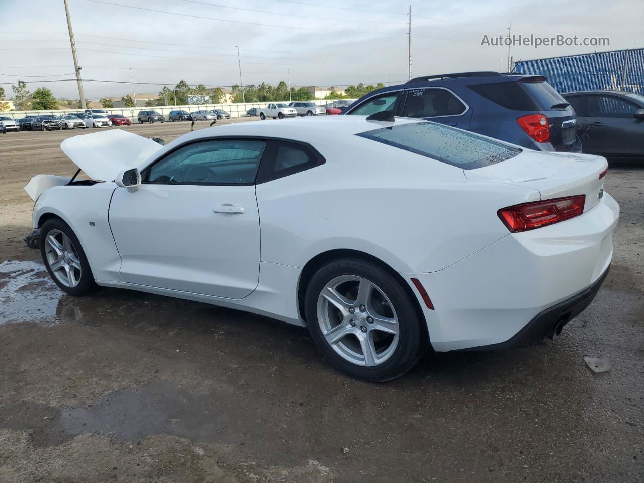 2017 Chevrolet Camaro Lt White vin: 1G1FB1RX8H0117825