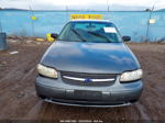 2005 Chevrolet Classic   Gray vin: 1G1ND52F05M197138