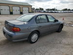 2005 Chevrolet Classic  Gray vin: 1G1ND52F05M201561