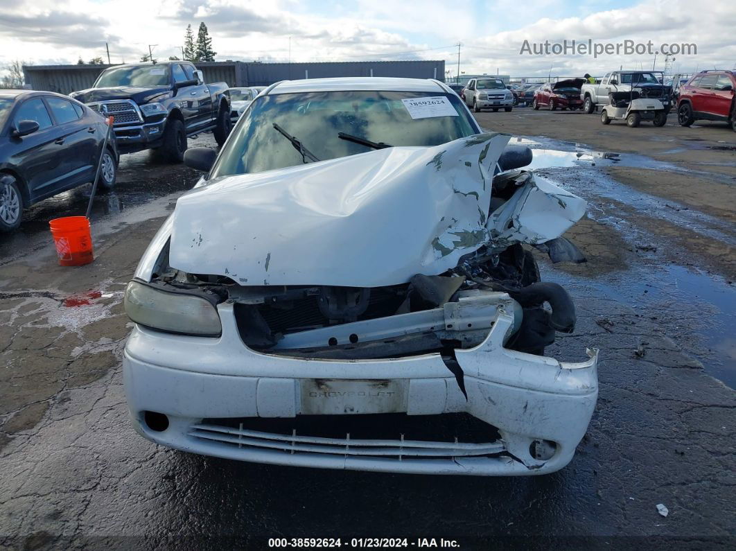 2005 Chevrolet Classic   White vin: 1G1ND52F05M219168