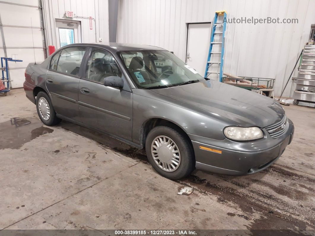 2005 Chevrolet Classic   Gray vin: 1G1ND52F15M121699