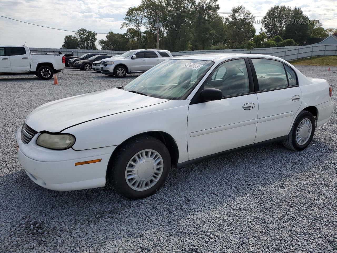 2005 Chevrolet Classic  White vin: 1G1ND52F15M135294