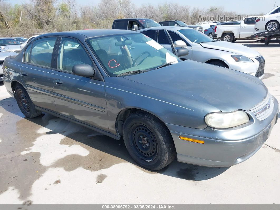 2005 Chevrolet Classic   Gray vin: 1G1ND52F15M168408