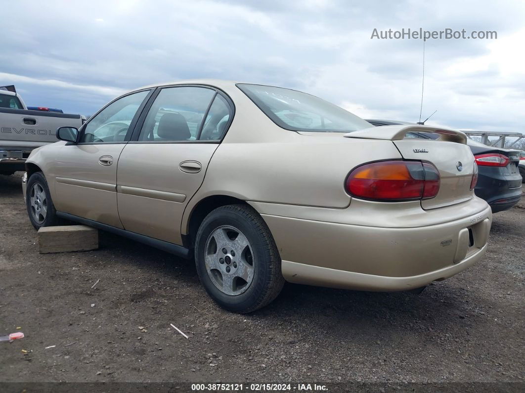 2005 Chevrolet Classic   Gold vin: 1G1ND52F15M193339